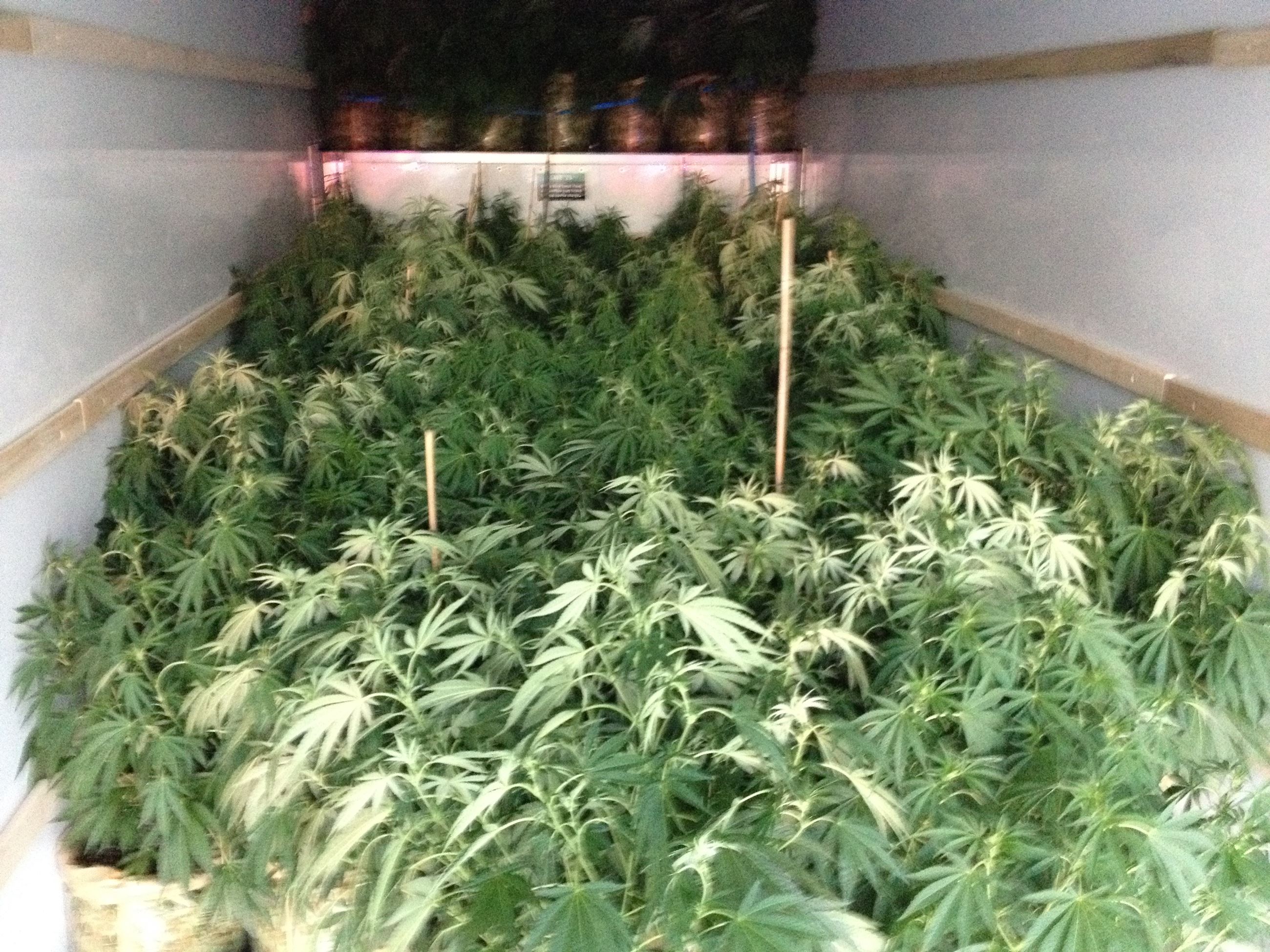 Narcotics Arrest - Case 201603248